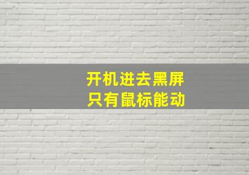 开机进去黑屏 只有鼠标能动